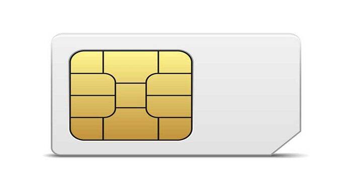 SIM Full From in English and Hindi