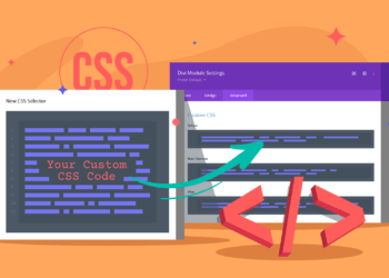 How Choose The Best Custom and Creative Divi Modules