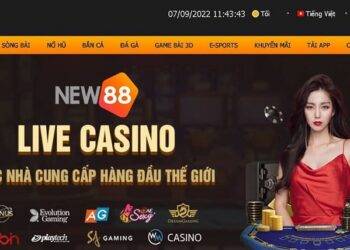 New88 Asian bookie – Why should you choose and great products