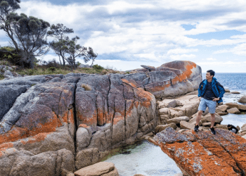 Exploring the East Coast: Unleashing the Wonders of a 5-Day East Coast Tour