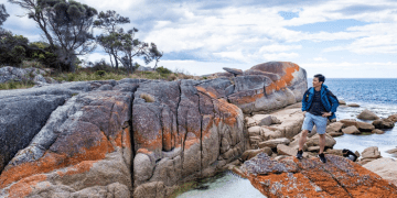 Exploring the East Coast: Unleashing the Wonders of a 5-Day East Coast Tour