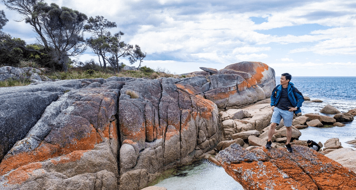 Exploring the East Coast: Unleashing the Wonders of a 5-Day East Coast Tour